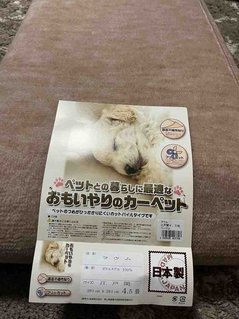 老犬用にリビングのカーペットを新調