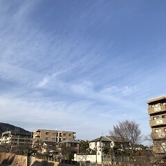 IMG_7436
