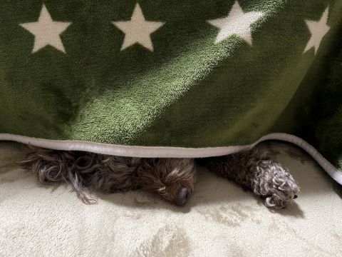 今まで出会って来た人や場所にもう一度巡り合う