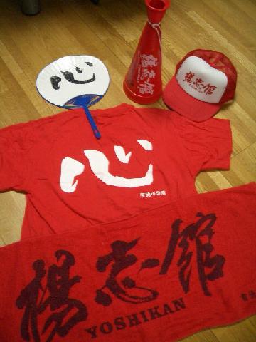 甲子園に恋をした