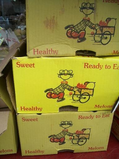 可愛いダンボール ありふれた毎日