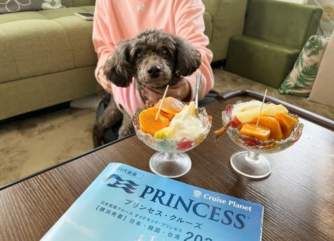 今すぐクルーズの夢旅行に出航