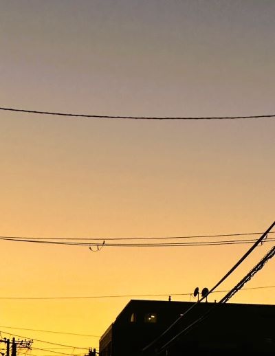 母の一周忌はあの日と同じ夕焼けの空