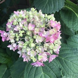 IMG_0097