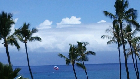 チェックアウト