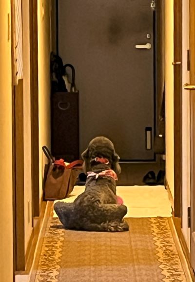 IMG_7640