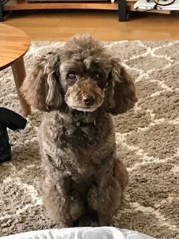 母に合わせた食生活