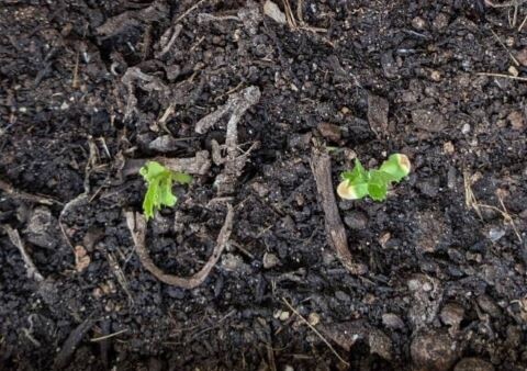 老後住居の課題