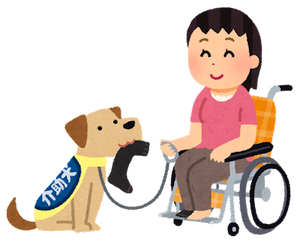 サクラは母のセラピー犬