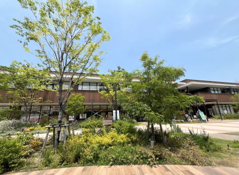 サクラなしで、娘とふたりのベーカリーカフェ