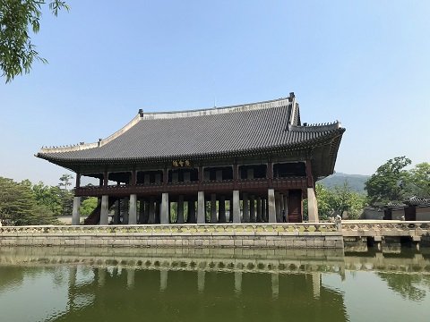 IMG_8869 (2)