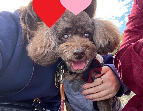 鳥羽へ出発~到着