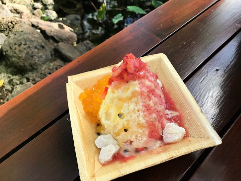 ISLAND　VINTAGE　SHAVEICE