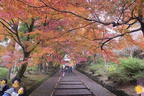 物販の旅～毘沙門堂門跡