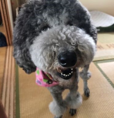 取り戻したい日常とひとり時間