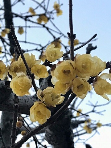 生前贈与や投資のこと