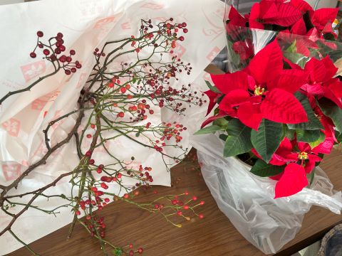 花とみどりのギフト券で引き換えたもの