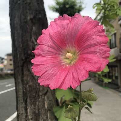 ワクチン接種の予約完了