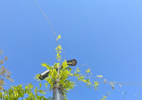 IMG_0006