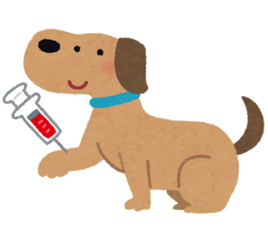 pet_chuusya_dog_saiketsu