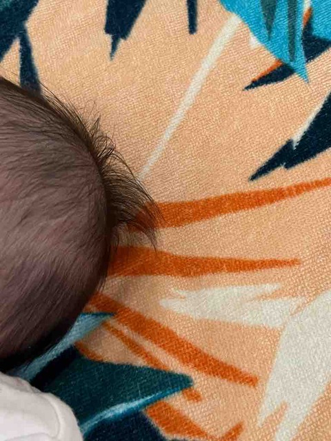 バーバーイーツ終了