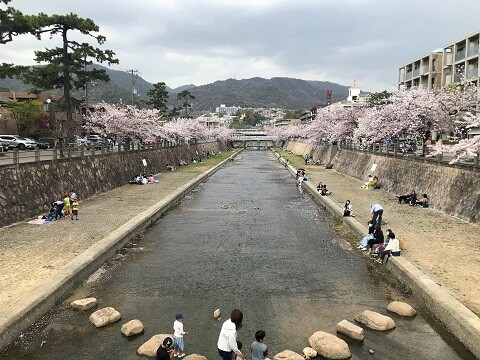 思いがけないお花見とカフェ ありふれた毎日 思いがけないお花見とカフェ ありふれた毎日