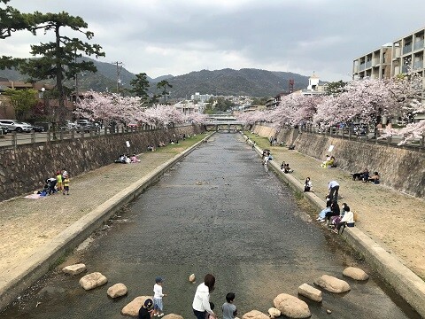 思いがけないお花見とカフェ ありふれた毎日