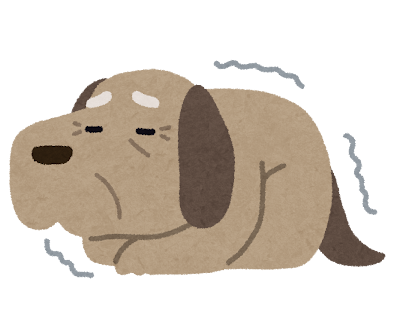 12月のサクラと感謝で溢れた毎日