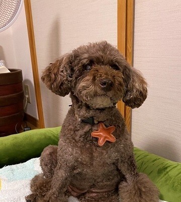 今日のサクラさん★ベストショット