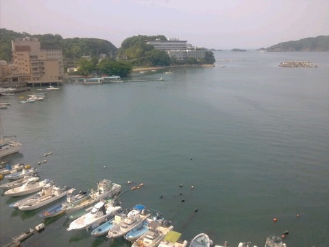 わんわんパラダイス