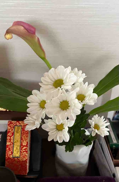 お花が長生きする栄養剤を使ってみたら