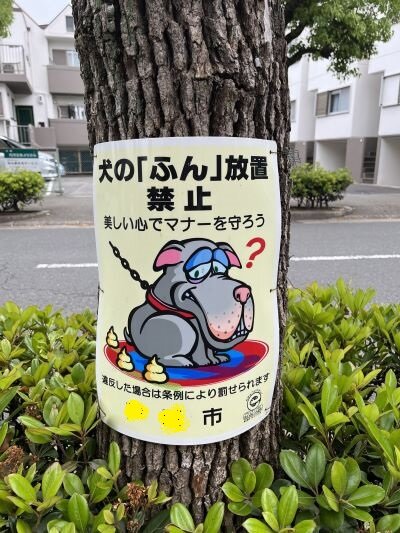 犬の散歩マナー