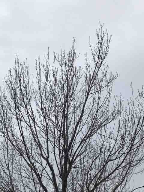 今日もシクシク泣いている空