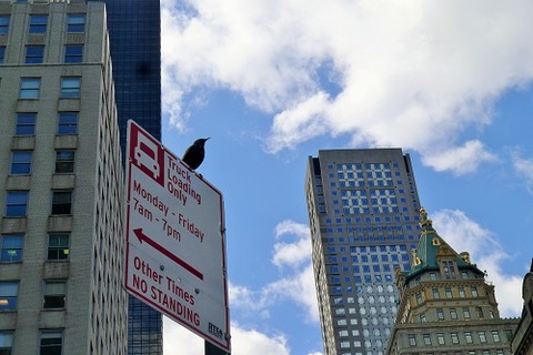 NY旅行記 5番街から