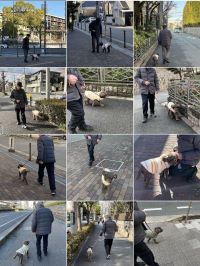 なにげない光景の連続