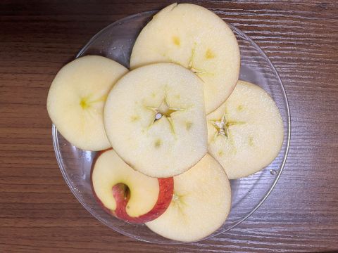 採用されなかった写真シリーズの話題