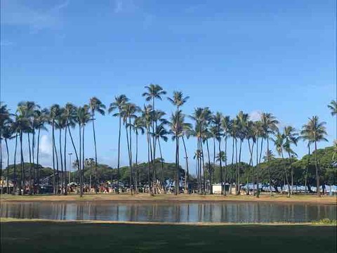 朝のアラモアナビーチパーク