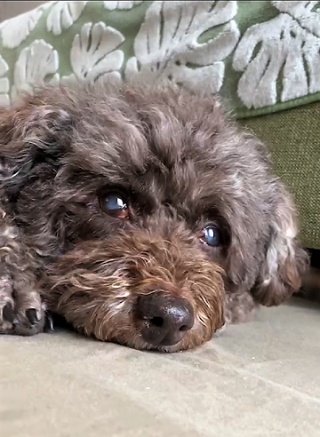 母とサクラのショートステイ2日目～3日目