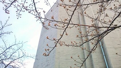 思い出し日記 3/25~26