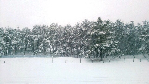 雪景色