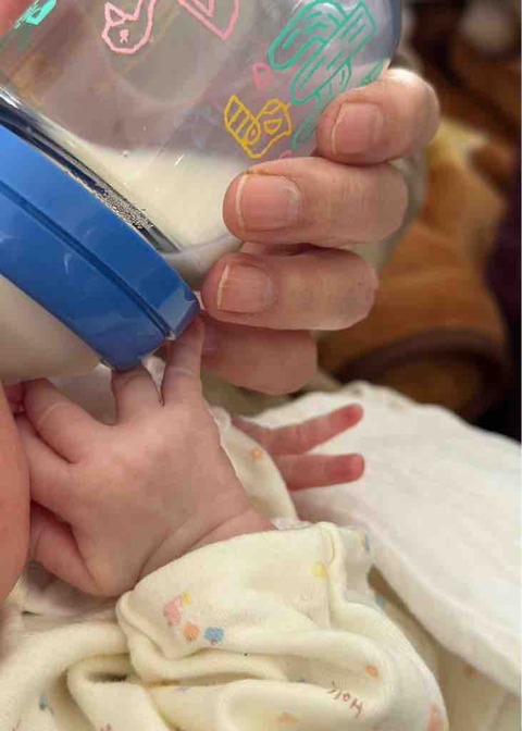 じいちゃんの手・ばあちゃんの手