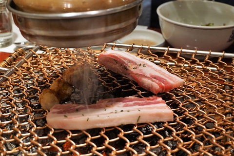 25504