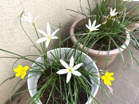 うんと歳を重ねると、毎日がおめでとう