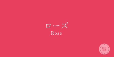 rose-680x340