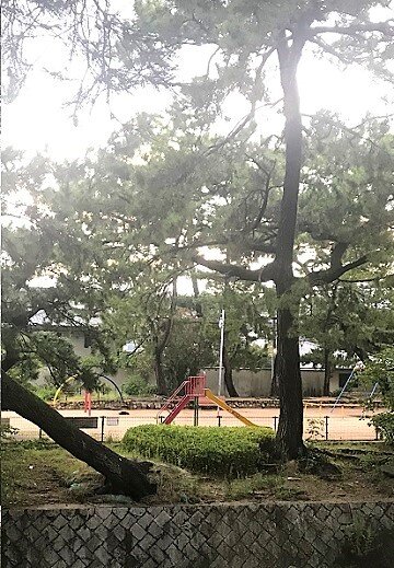 今年の晩夏に始めること