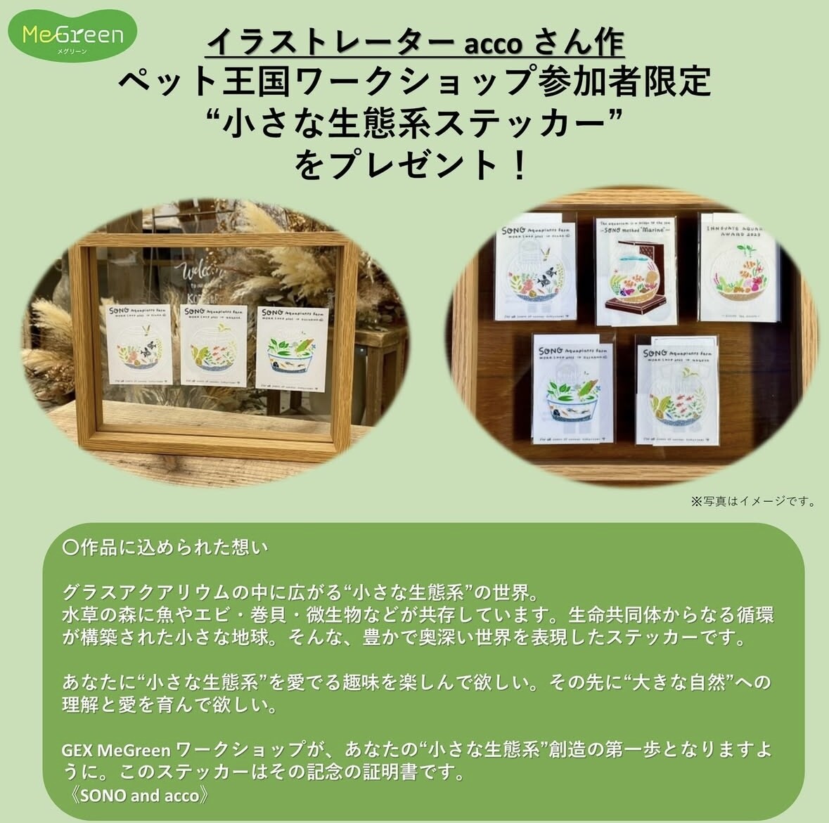 MeGreen ワークショップ（ペット王国）』in 大阪 京セラドーム : SONO
