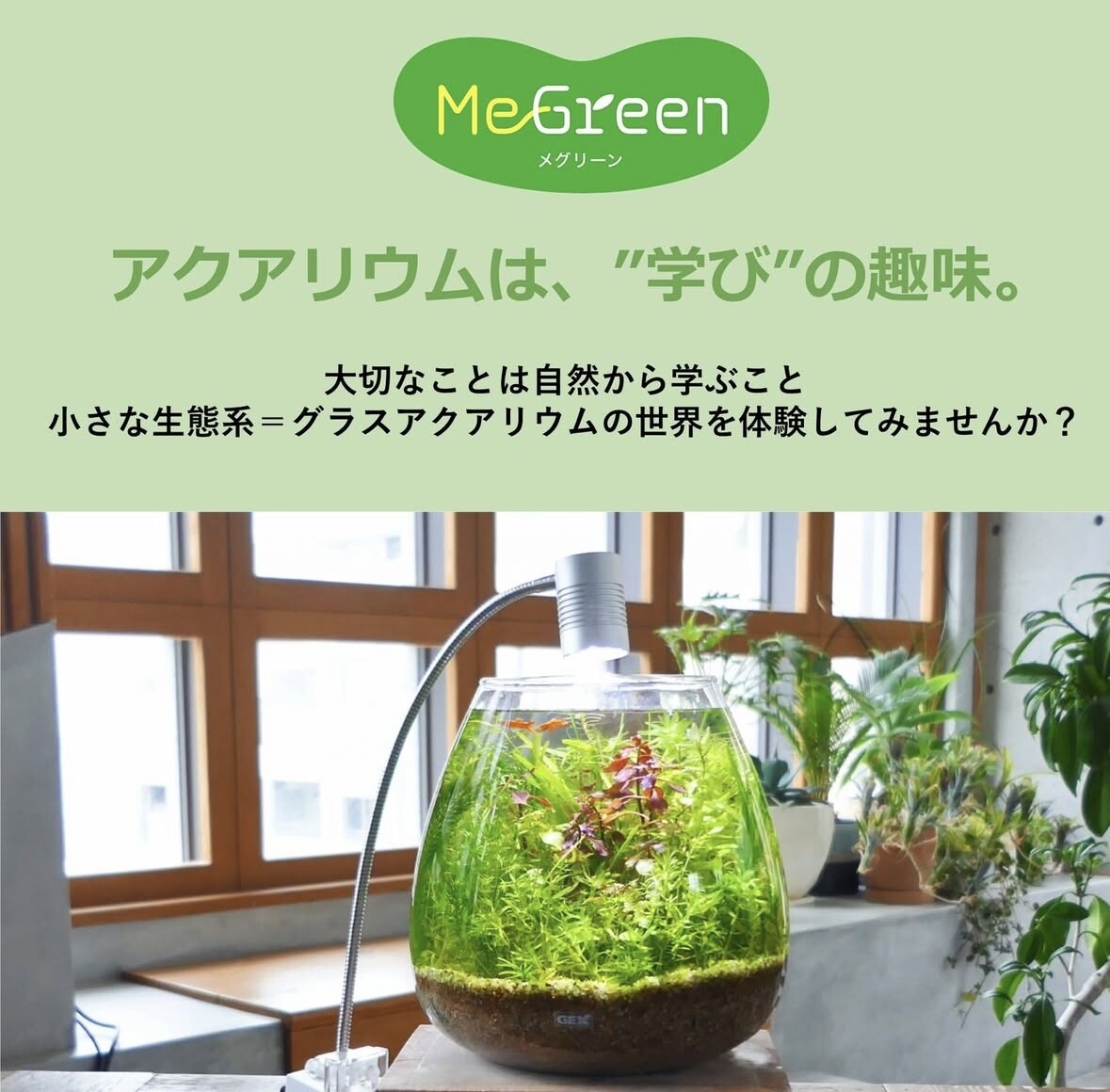 MeGreen ワークショップ（ペット王国）』in 大阪 京セラドーム : SONO