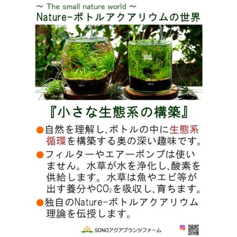 Natute-ボトルアクアリウム教室(5/3,5 東急ハンズ宜野湾コンベンション
