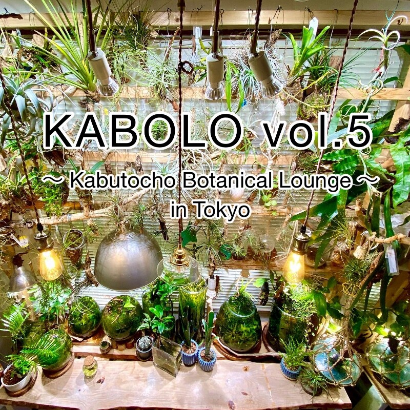 大人気の植物イベント開催!【KABOLO】〜東京兜町ボタニカルラウンジ