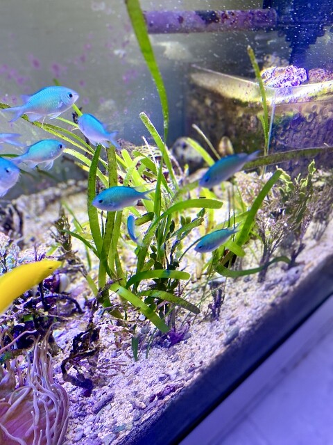 Jk5q5tzjiporum Jk5q5tzjiporum